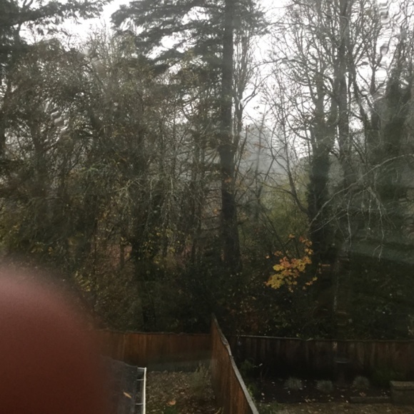 It’s raining so hard! - Picture 3 of 3